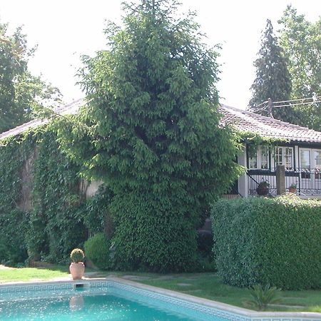 Casa Da Quinta De S. Martinho Ξενοδοχείο Vila Real Εξωτερικό φωτογραφία