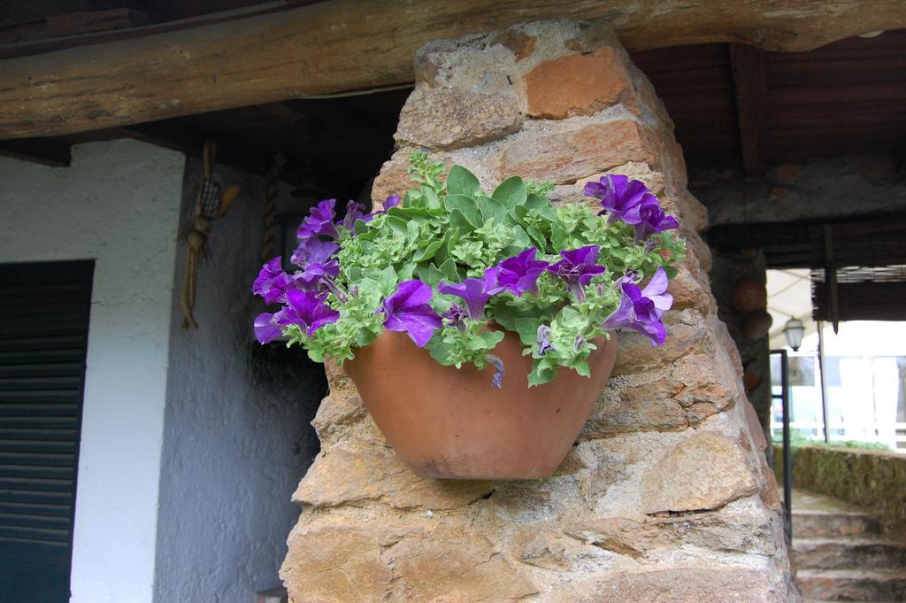 Casa Da Quinta De S. Martinho Ξενοδοχείο Vila Real Εξωτερικό φωτογραφία