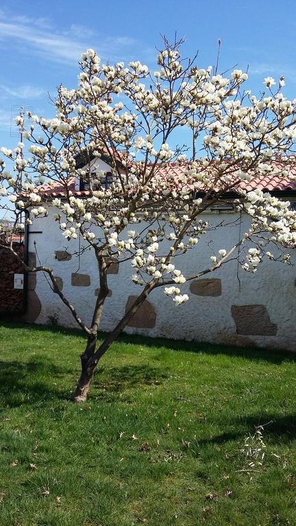 Casa Da Quinta De S. Martinho Ξενοδοχείο Vila Real Εξωτερικό φωτογραφία